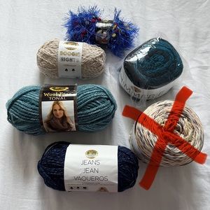 Lion Brand Yarn Bundle! Single Skeins of Different Yarn